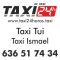Taxi 24 Horas Tui (Taxi Ismael)
